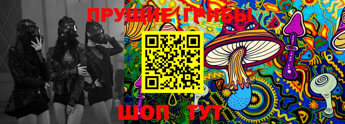 Галлюциногенные грибы GOLDEN TEACHER Мирный